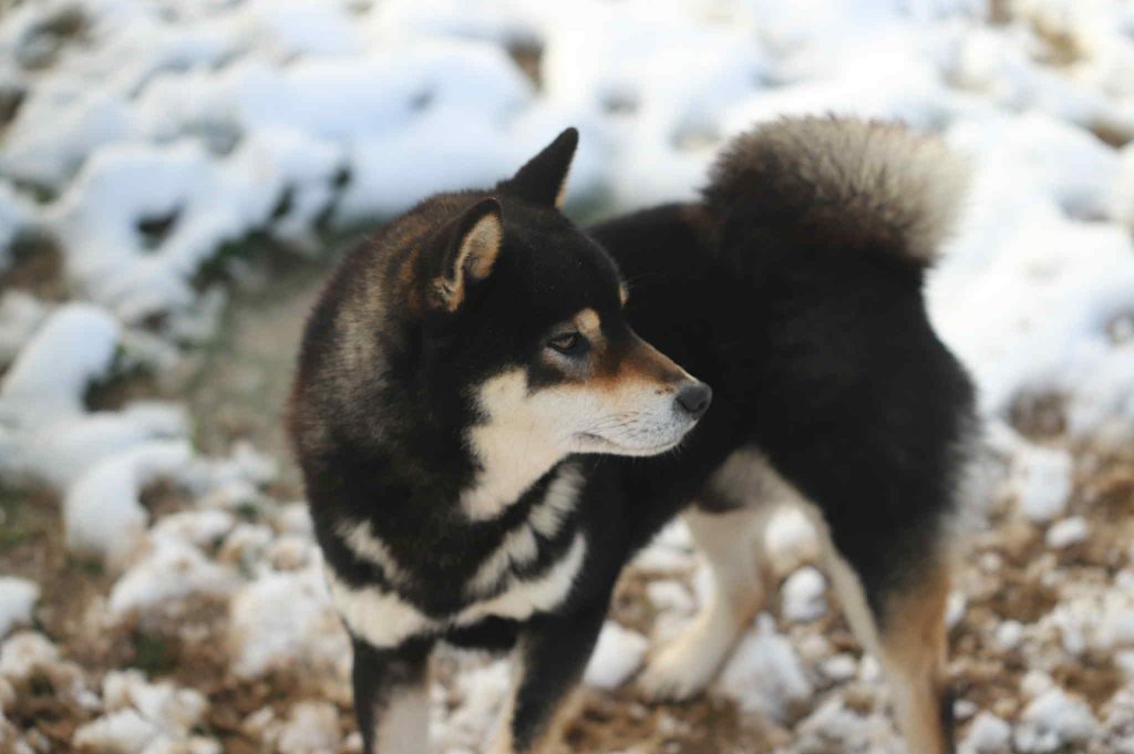 af0177c1-3f6b-42b6-9940-4f03402b156a