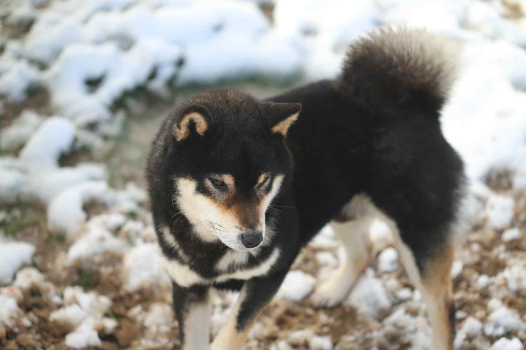 d63b20fc-743a-4a6e-b849-1bf1f952a44b