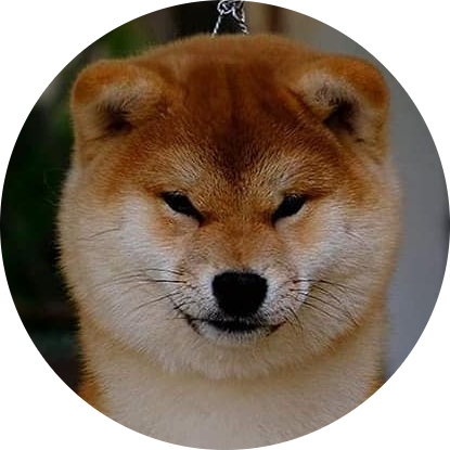 Nikki profil